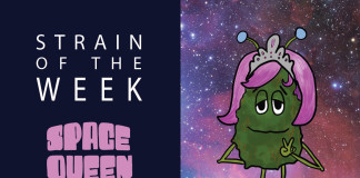 Strain of the Week: Sept. 6, 2015 (Space Queen)