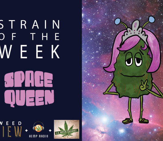 Strain of the Week: Sept. 6, 2015 (Space Queen)