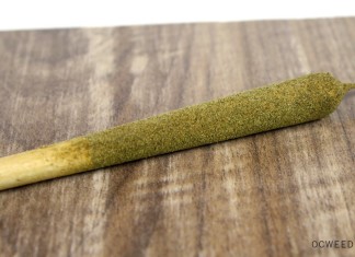 Phantom OG Tarantula Joint from Ganja Gold Review