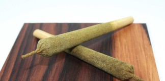 Sherbert Tarantula Joint from Ganja Gold Review