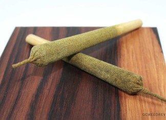 Sherbert Tarantula Joint from Ganja Gold Review