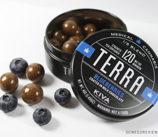 Terra Bites Chocolate Covered Blueberries from Kiva Confections Review