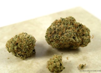 Sweet Tooth from Hand in Hand Patient Care Review