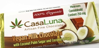 Casa Luna Vegan Milk Chocolate Bar Review