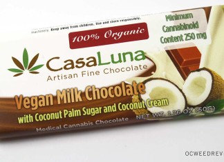 Casa Luna Vegan Milk Chocolate Bar Review