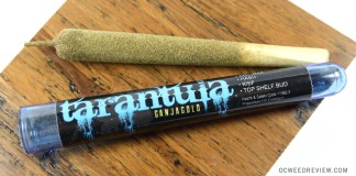 Girl Scout Cookies Tarantula Joint from Ganja Gold Review