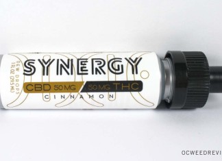 Synergy Dew Drops Cinnamon Review