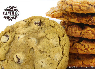 Kaneh Co Chocolate Chip Cookie Review